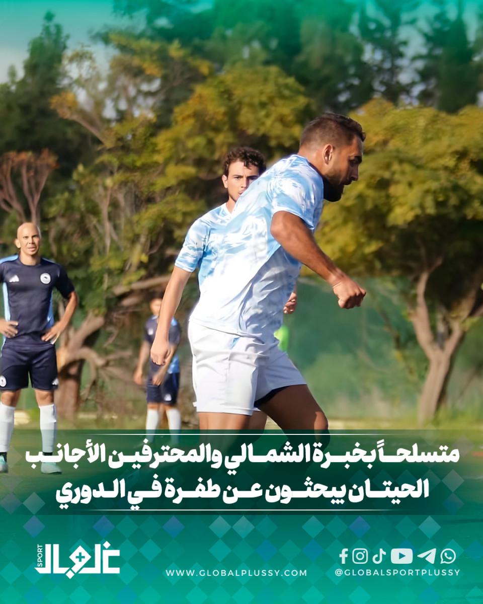 متسلحا بخبرة الشمالي والمحترفين الأجانب... الحيتان يبحثون عن طفرة في الدوري