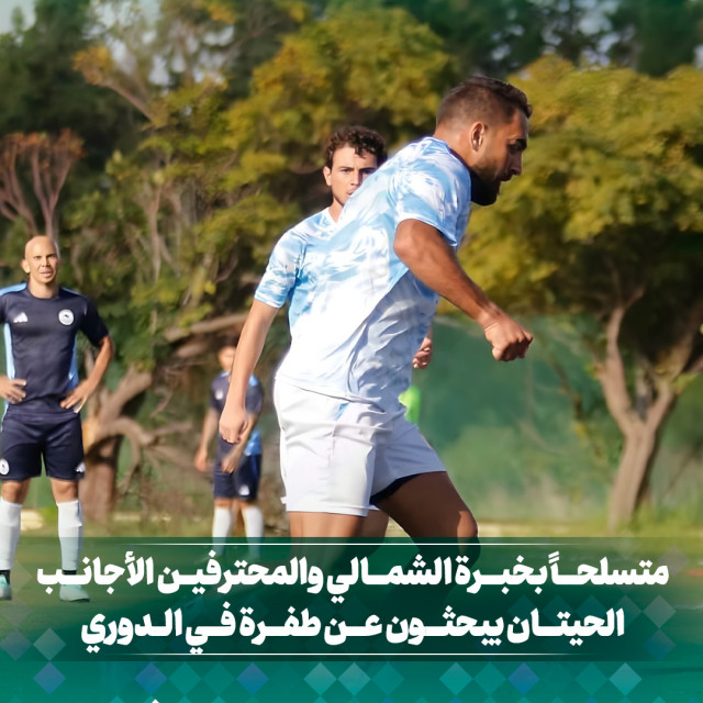 متسلحا بخبرة الشمالي والمحترفين الأجانب... الحيتان يبحثون عن طفرة في الدوري